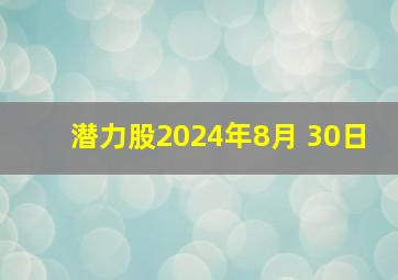 潜力股2024年8月 30日